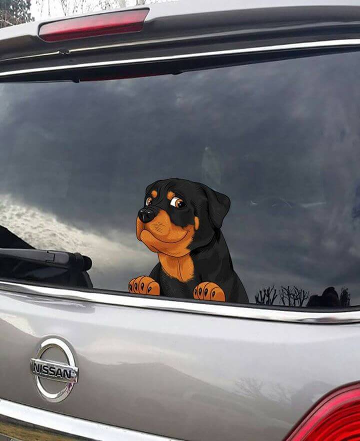 10 Products That Will Make Your Rottweiler Love You Even More 23 rottweiler