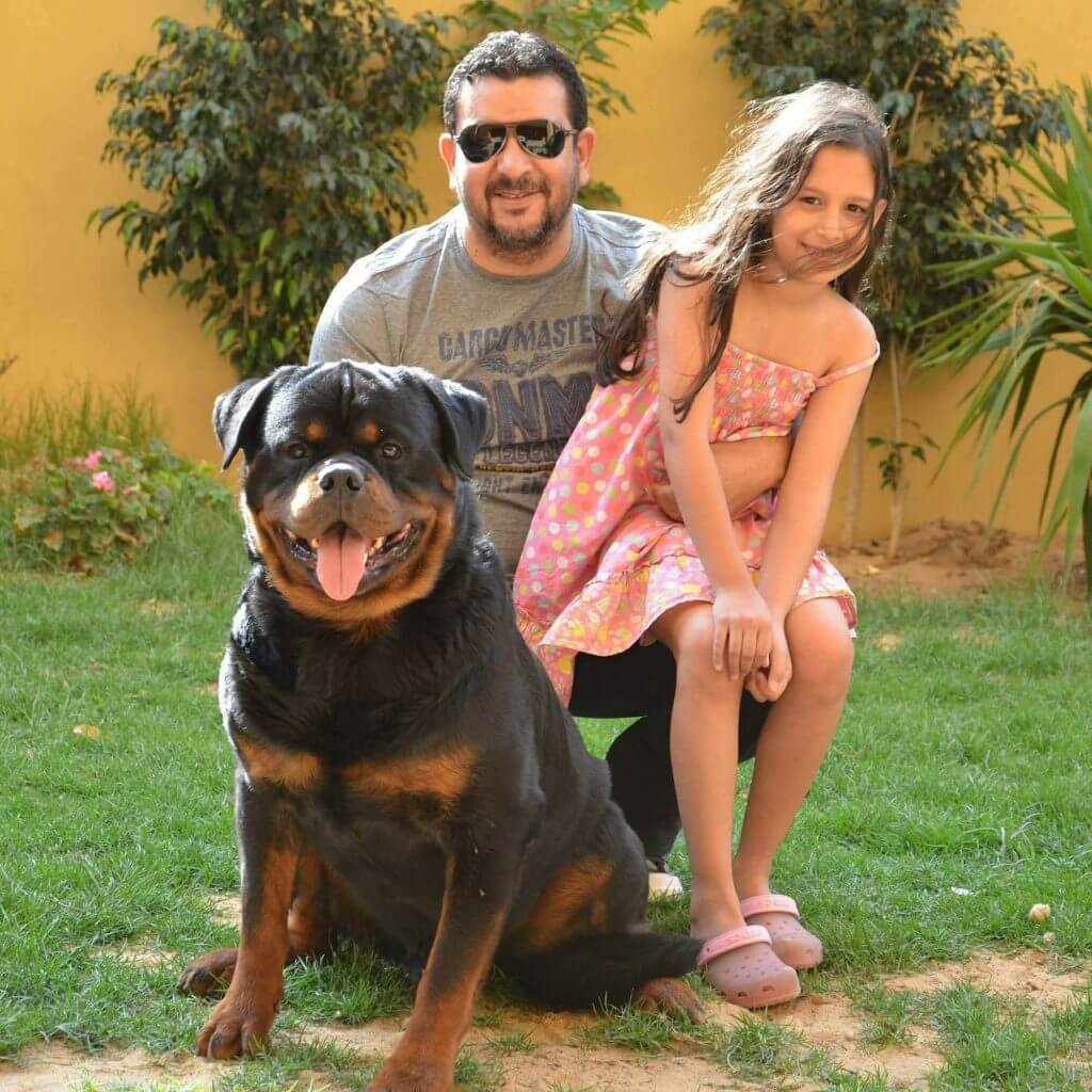 rottweiler tips rottweiler tips
