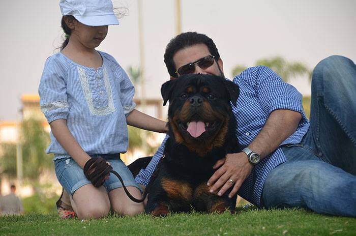 9 Signs You Love Your Rottweiler More Than Your Friends 1 Rottweiler Temperament