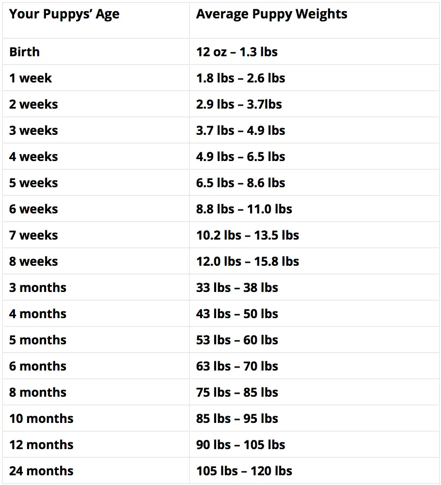 Puppy Height Chart