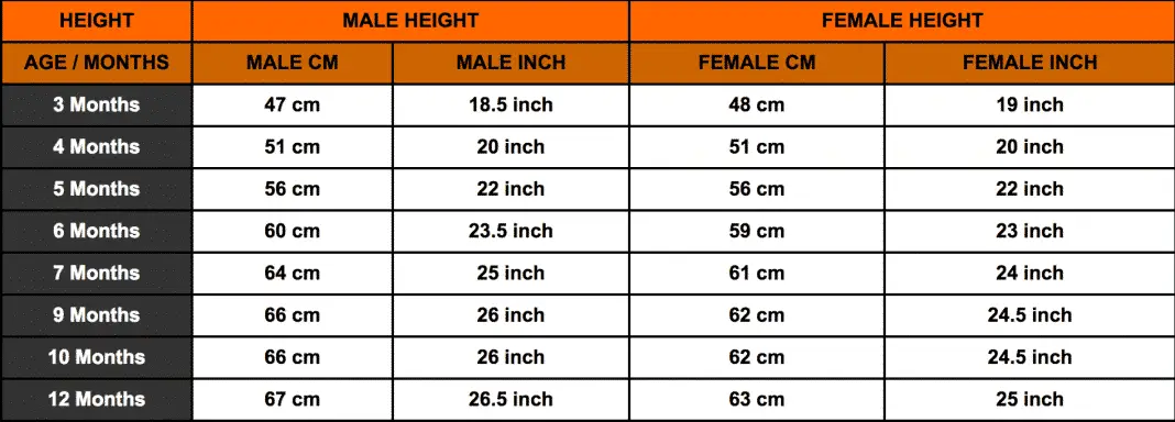 Rottweiler Growth Chart -Rottweiler Height Chart -Rottweiler Weight Chart