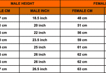 Rottweiler Weight Chart