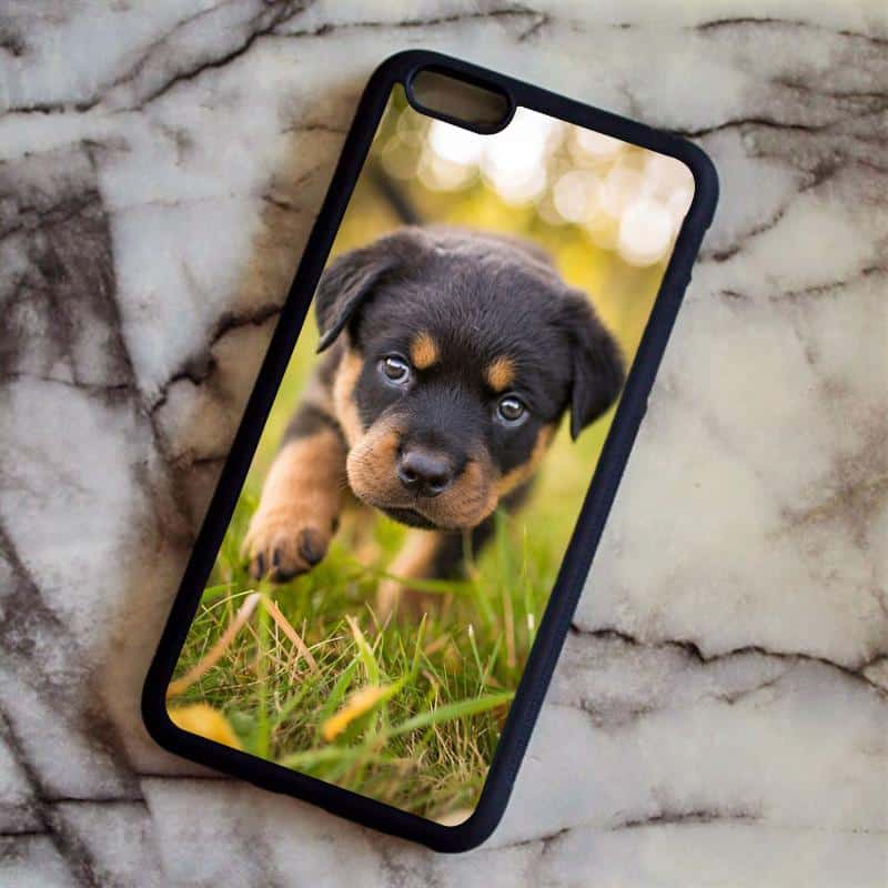 9 Things Only People Who Are Obsessed With Rottweiler Will Understand 6 rottweiler puppy phone cover