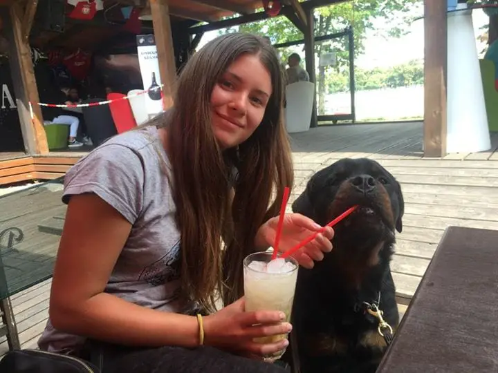 12 Things Your Rottweiler Is Better At Than You 8 Rottweiler