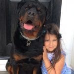 rottweiler best friend