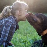 Humans Kiss Their Dogs