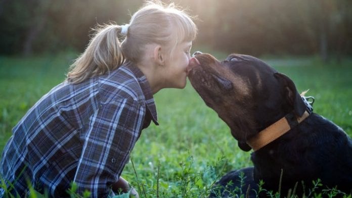 Humans Kiss Their Dogs