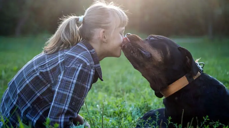 Humans Kiss Their Dogs