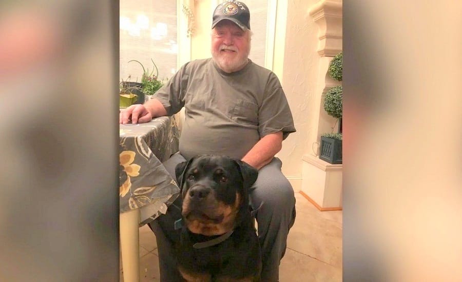 Disabled Veteran Denied Access To Hotel Because Of His Service Dog 1 veteran service dog