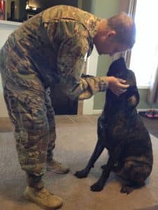 Dog Breeds Who Have Provided Their Service To The Nation With Honor 6 dogs service nation