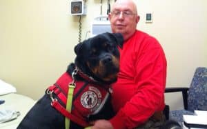 5 Interesting Facts About Rottweilers That You Perhaps Don’t Know 1 rottweiler facts