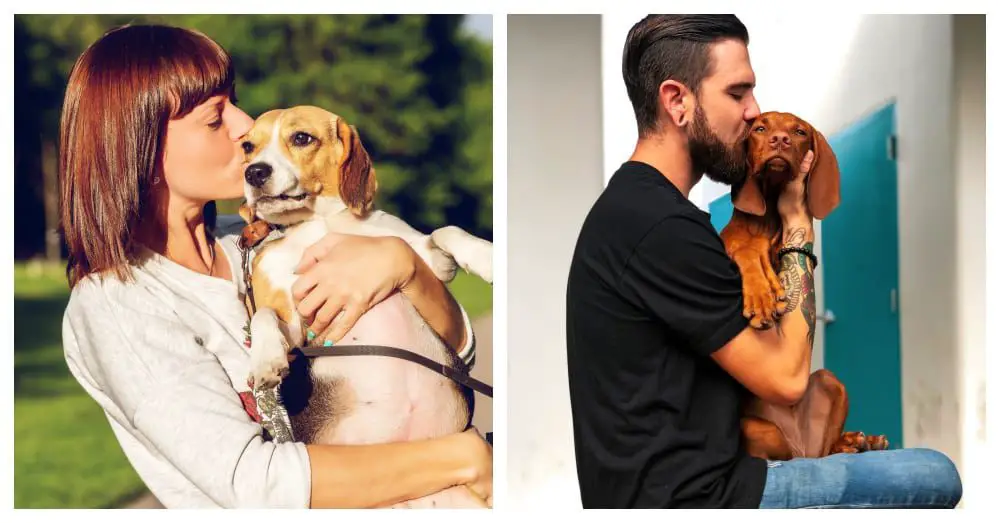Humans Kiss Their Dogs More Than Their Partners, Study Finds 1 Humans Kiss Their Dogs