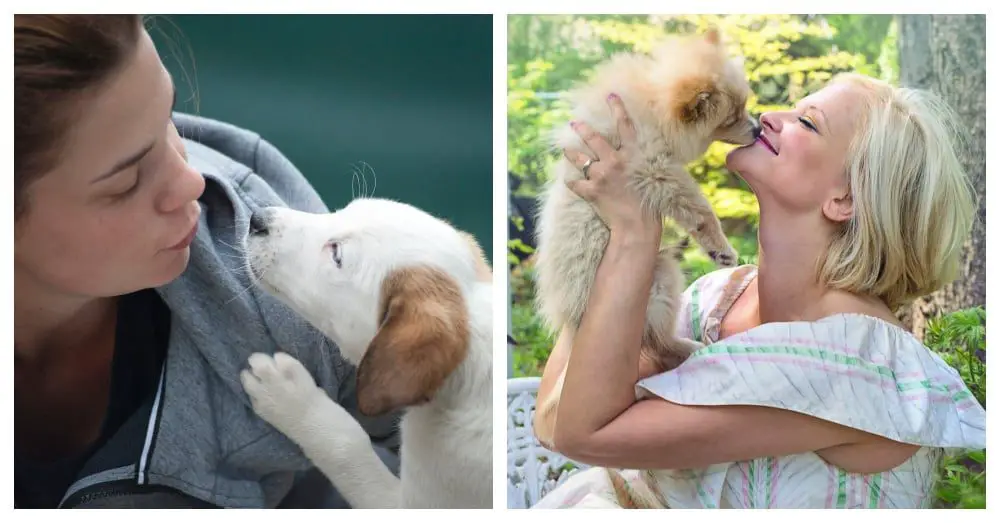 Humans Kiss Their Dogs More Than Their Partners, Study Finds 2 Humans Kiss Their Dogs
