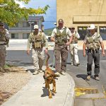 training-31-online_t715
