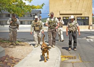 Dog Breeds Who Have Provided Their Service To The Nation With Honor 2 dogs service nation