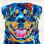 colorful-rottie-art-rottweiler-by-sharon-cummings-sharon-cummings