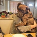 grateful-rescue-dog-hugs-owner-kylo-10-58cf9350ebe9f__605