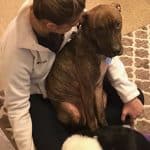grateful-rescue-dog-hugs-owner-kylo-4-58cf9345255b6__605