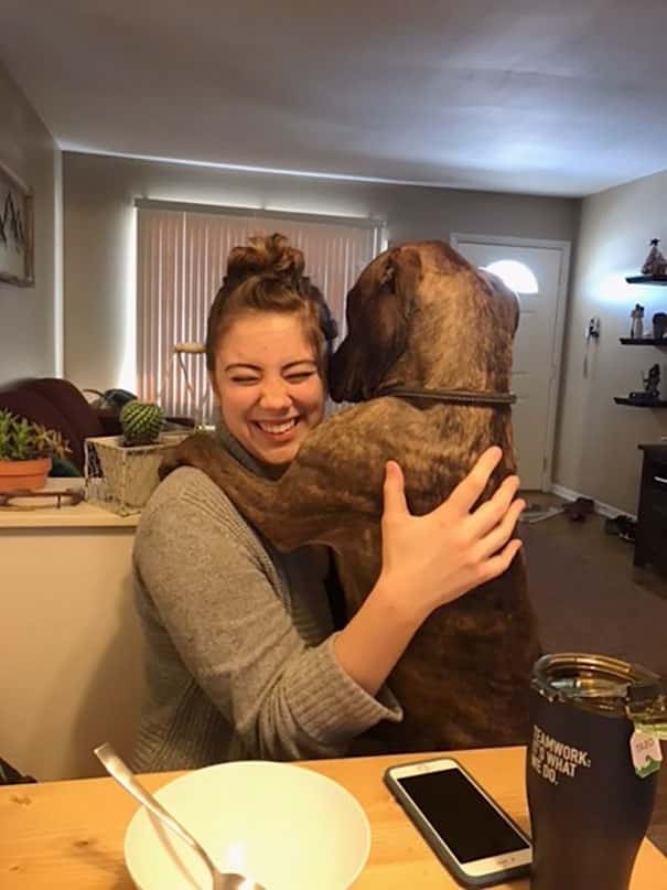 This Is Kylo, The Rescue Dog, Who Loves To Hug People And Sleep In Their Laps 2 Kylo the rescue dog