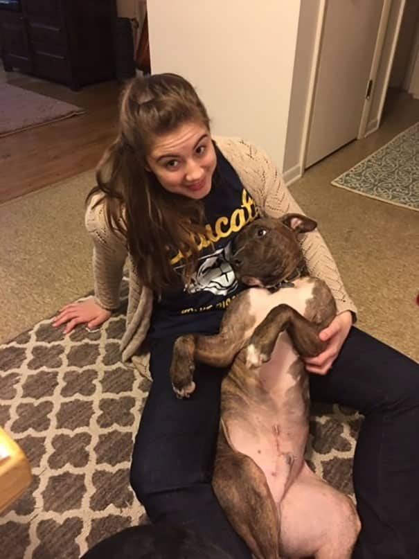 This Is Kylo, The Rescue Dog, Who Loves To Hug People And Sleep In Their Laps 3 Kylo the rescue dog