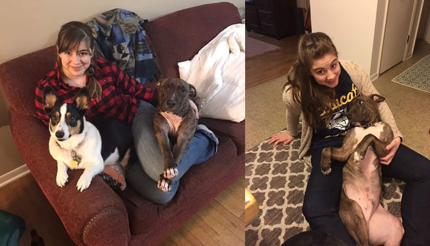 This Is Kylo, The Rescue Dog, Who Loves To Hug People And Sleep In Their Laps 7 This Is Kylo, The Rescue Dog, Who Loves To Hug People And Sleep In Their Laps