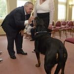 15035722-7162903-image-a-15_1561038288930