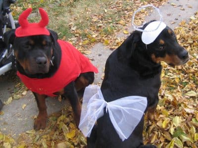 last-minute Halloween costume ideas