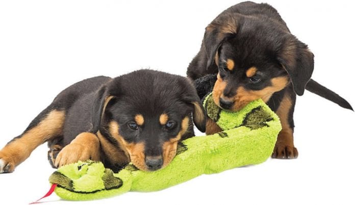 Toys for Rottweilers