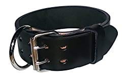 Rottweiler Collar