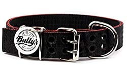 Rottweiler Collar