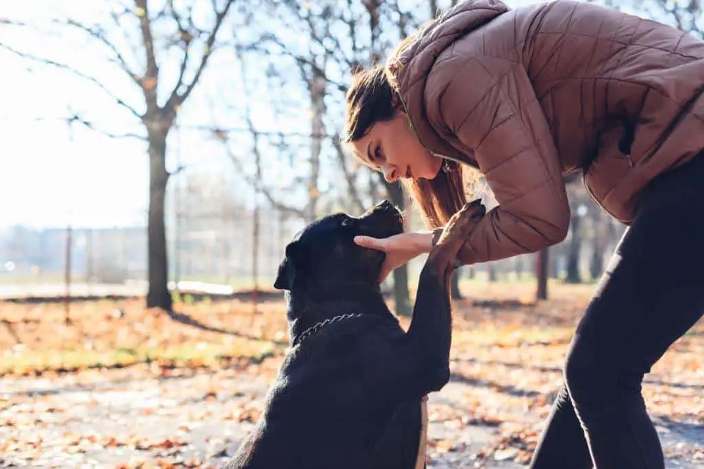 What makes your Rottweiler so anxious about separation