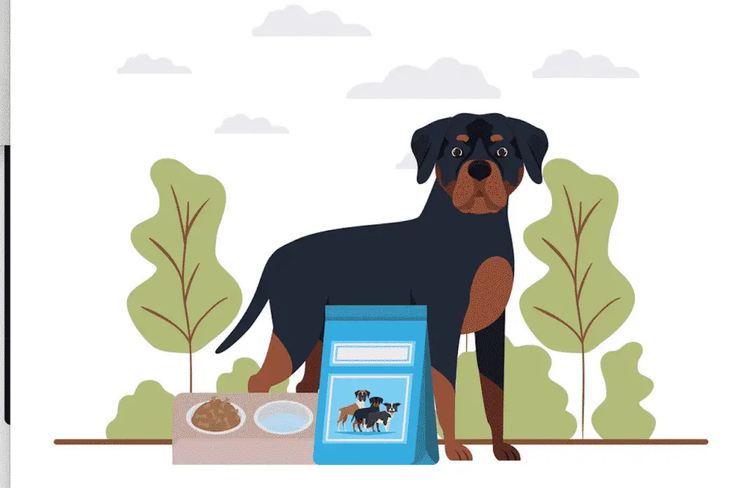 train your Rottweiler to talk