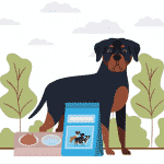 train your Rottweiler to talk