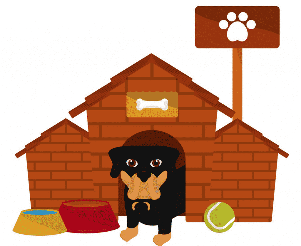 Before Bringing a Rottweiler Puppy Home: A Practical Checklist 2 Rottweiler puppy