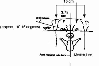 eye diagram