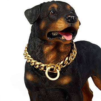 Rottweiler Collar