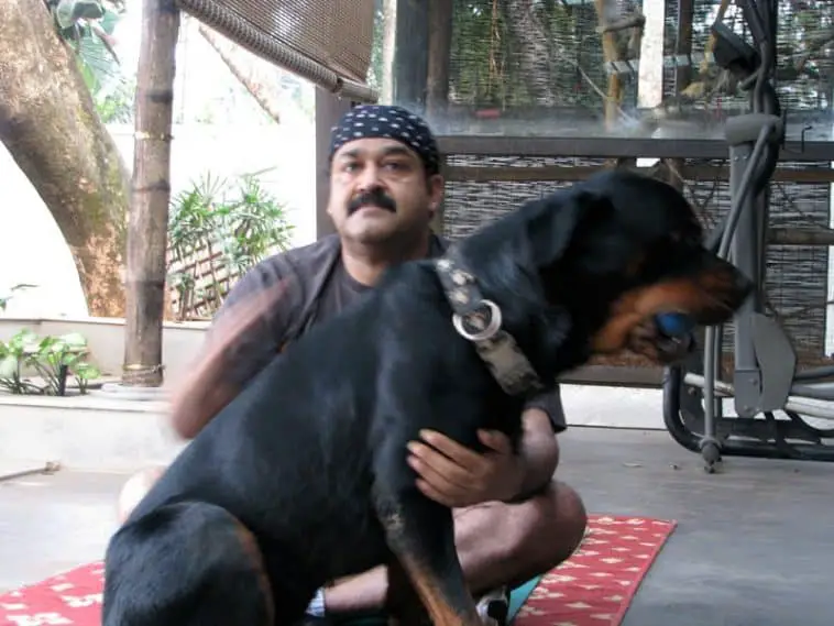 Rottweiler with celebrity