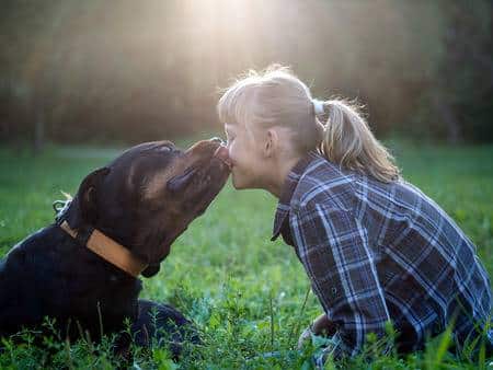 Rottweilers Kid Friendly