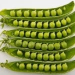 Peas_in_pods_-_Studio