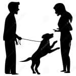 excited-dog-jumping-people-obedience-pet-training-silhouette-graphic-scene-excited-dog-jumping-people-obedience-pet-training-123552504