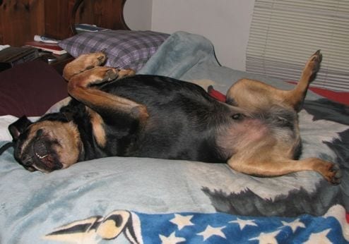 Passed Out sleeping position