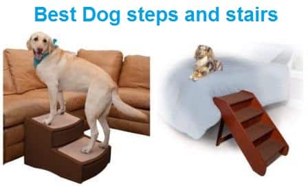 The Best Dog Steps for Beds in 2020