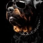 0fd615dea08ed871dc51006a9c019005