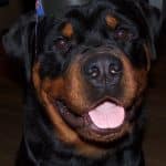 100_3104_edited-1