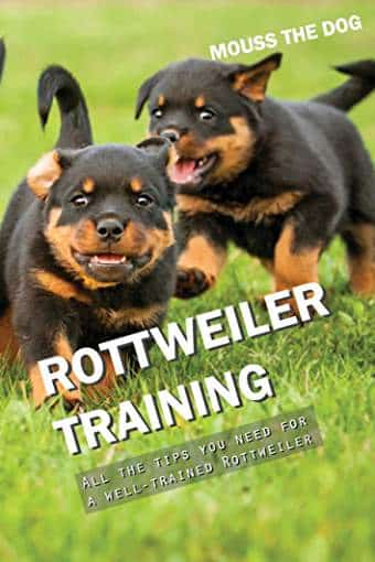 14 Must-Read Books About Rottweilers 9 Books About Rottweilers