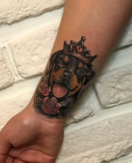 10 Cool Rottweiler Tattoos Drawn On The Bodies Of The Most Loyal Owners 2 Rottweiler Tattoos