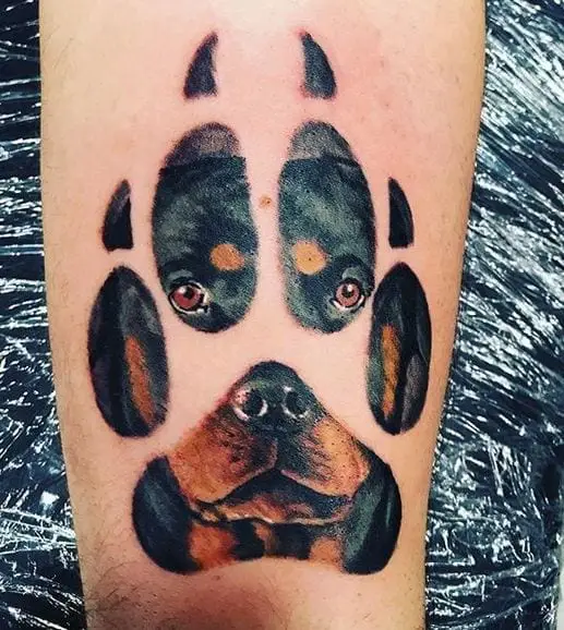 10 Cool Rottweiler Tattoos Drawn On The Bodies Of The Most Loyal Owners 4 Rottweiler Tattoos