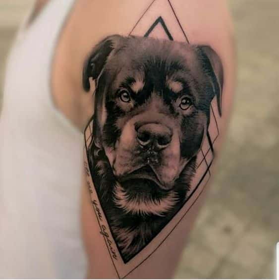 Rottweiler Tattoos