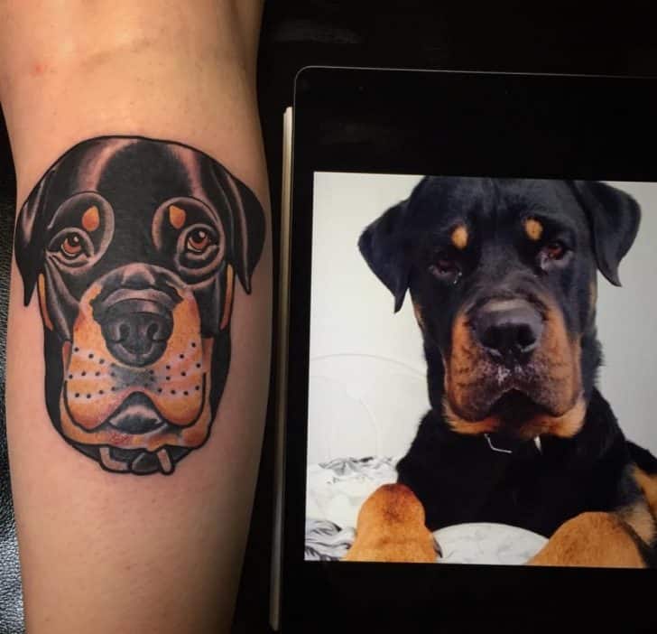 rottweiler tattoo