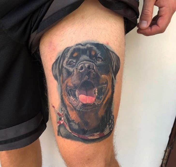 rottweiler tattoo